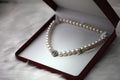 Reva Chain Anklet